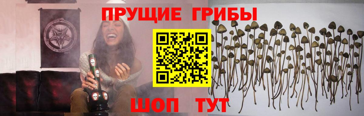 Галлюциногенные грибы Cubensis  Галлюциногенные грибы GOLDEN TEACHER  Михайловка  Вход с VPN 